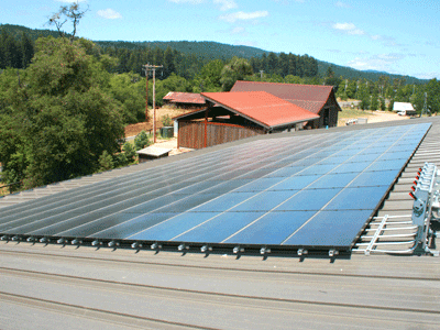solar panels winery
