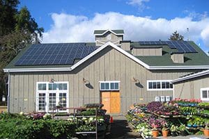 Napa restaurant solar power