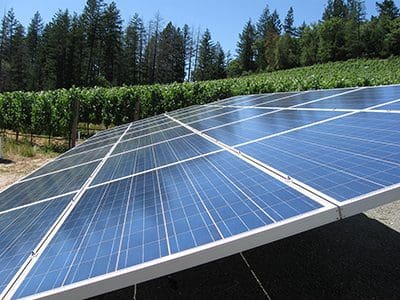 commercial solar panels, Dana Estates Vineyard, Rutherford