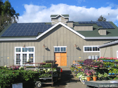 restaurant solar electric