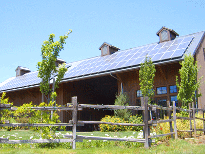 winery solar electric