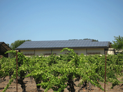 solar power winery