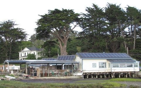 pr-SolarCraft installs solar at Hog Island Oyster Co