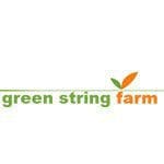 green-string-farm