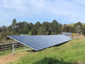 cs-heidrun meadery solar panels point reyes solarcraft