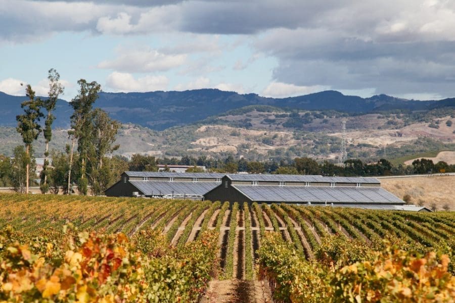 Solar Panels on rooftop in Wine Vineyard in Napa County