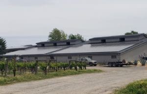 Solar panels on winery roof