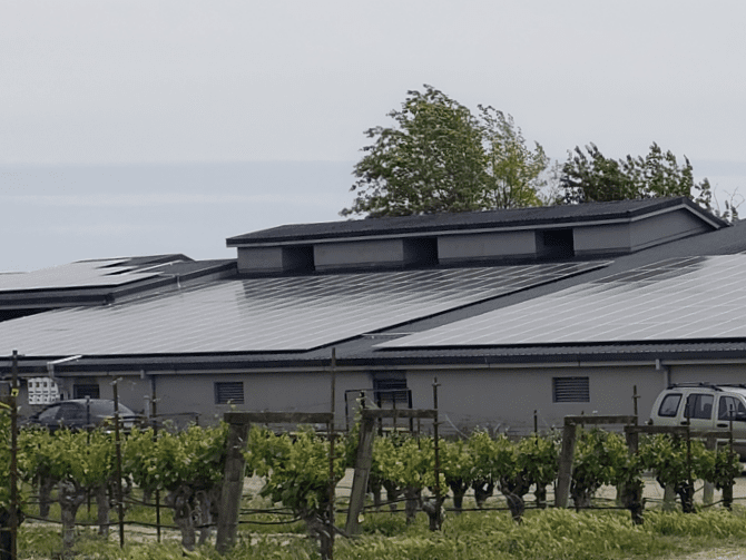 solar panels on winery
