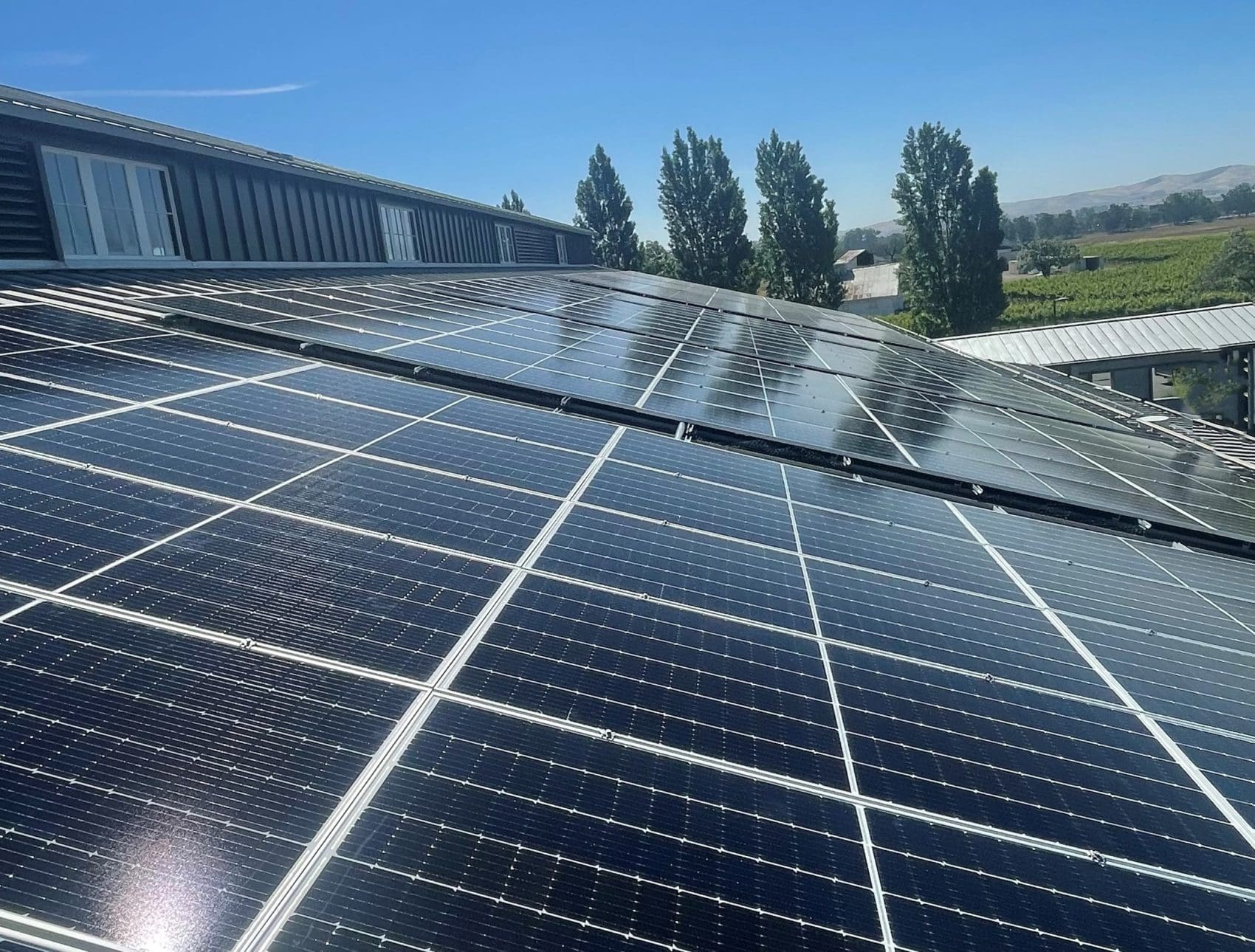 solar panels on winery