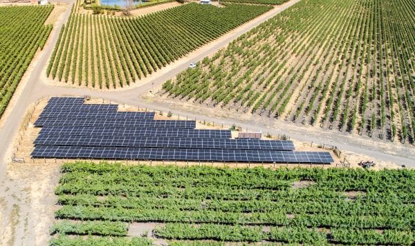 solar in a winery